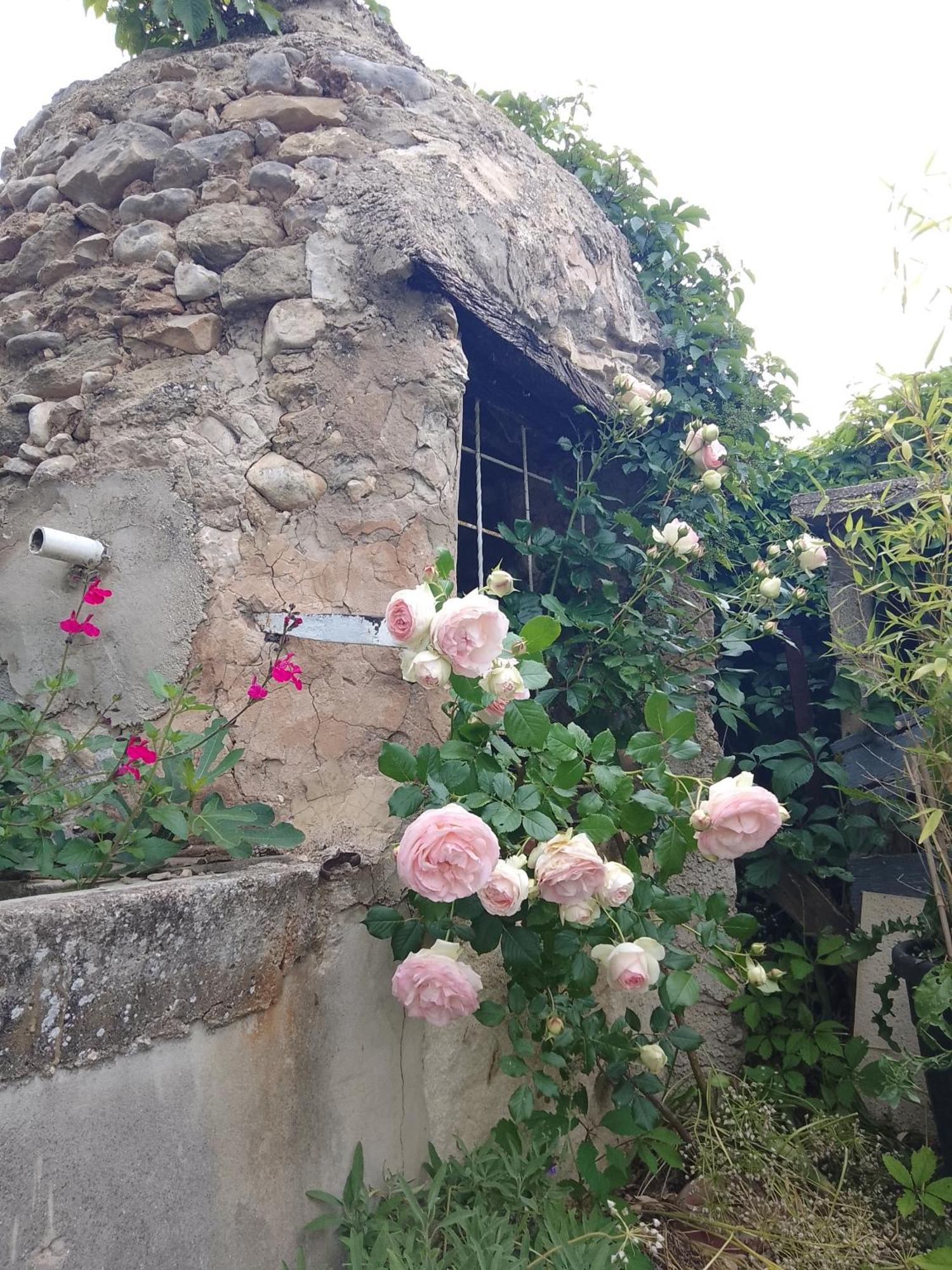 Les Gites Du Mont Ventoux Bédoin Exterior foto