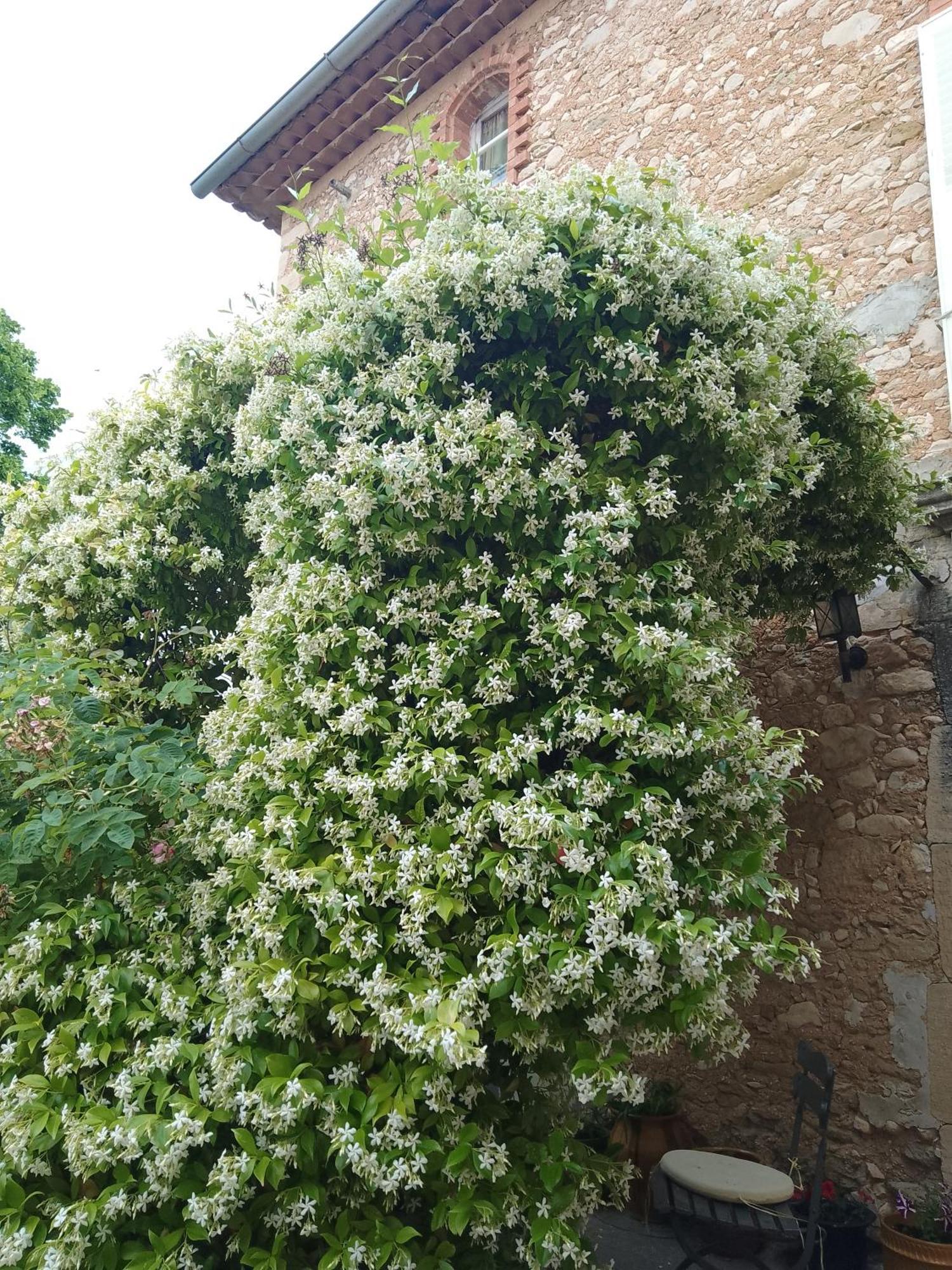 Les Gites Du Mont Ventoux Bédoin Exterior foto