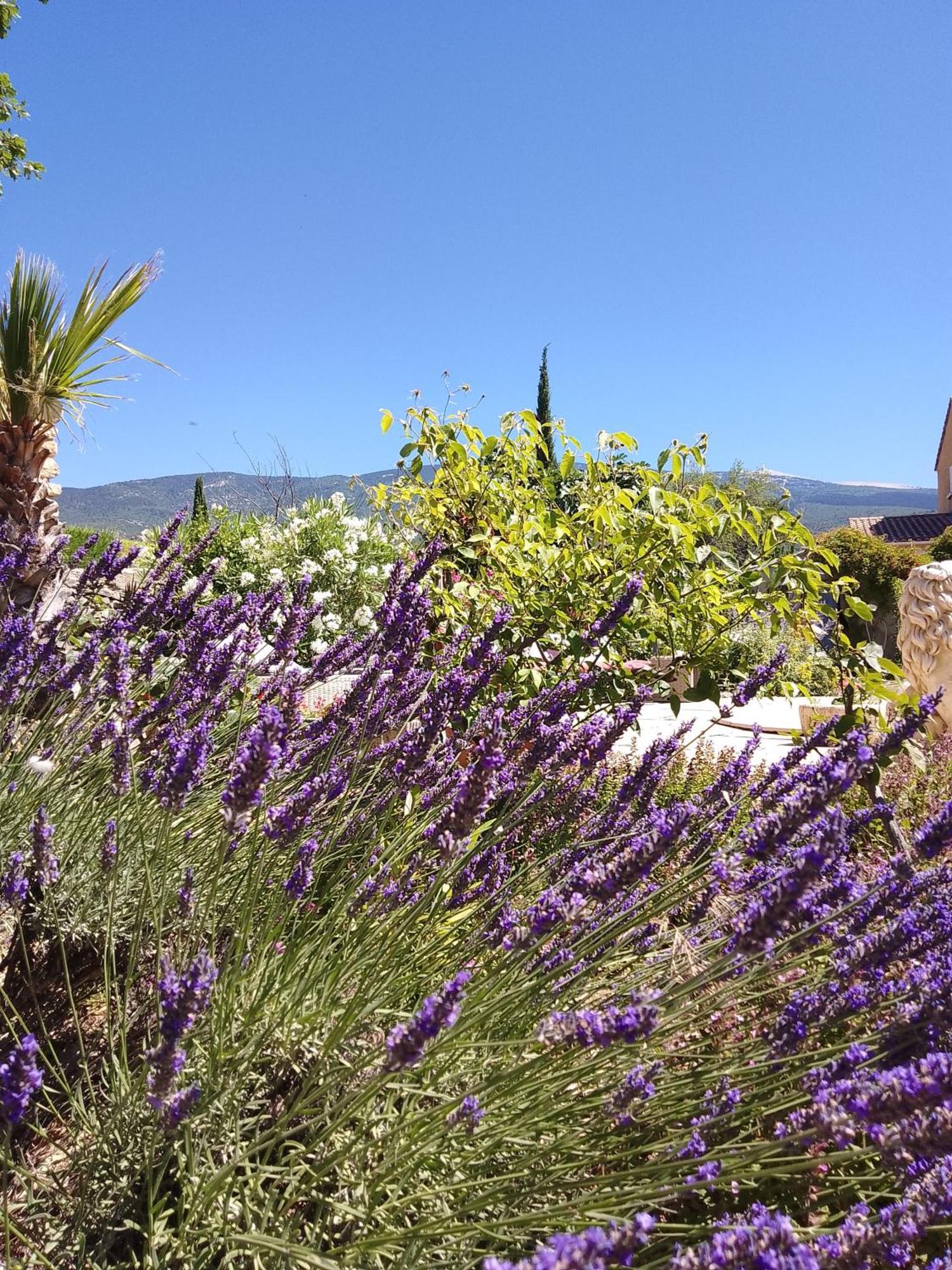 Les Gites Du Mont Ventoux Bédoin Exterior foto