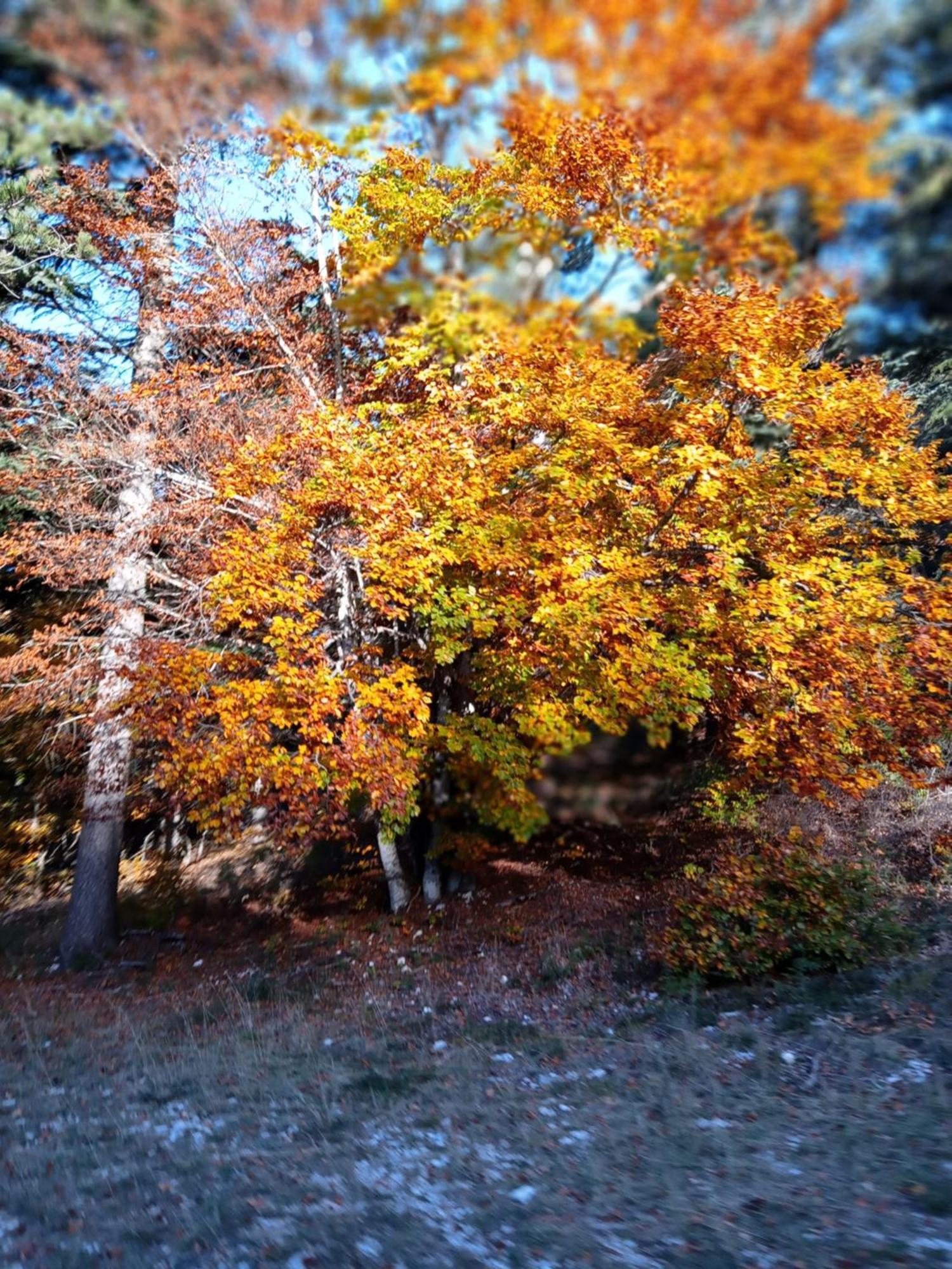 Les Gites Du Mont Ventoux Bédoin Exterior foto